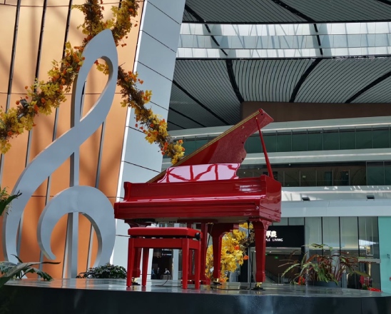 北京大兴机场展示用琴